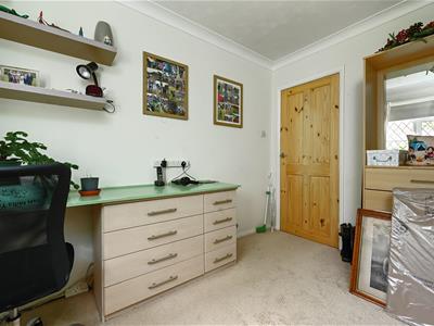 Picture 21